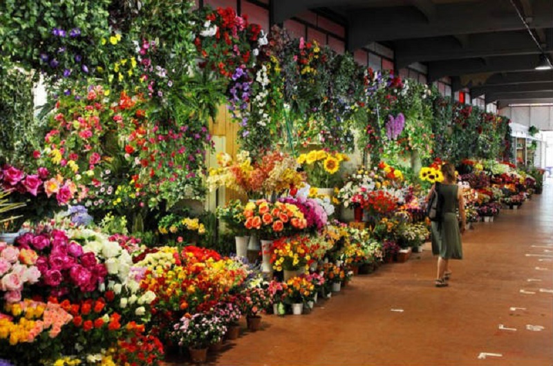 Mercado Jamaica - Habibi World Travel & Tour